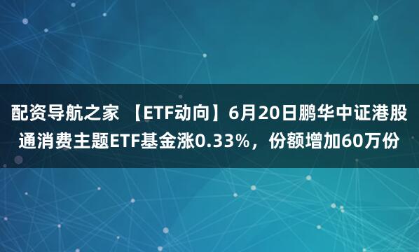 配资导航之家 【ETF动向】6月20日鹏华中证港股通消费主题ETF基金涨0.33%，份额增加60万份