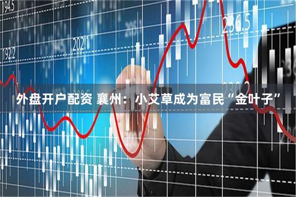 外盘开户配资 襄州：小艾草成为富民“金叶子”